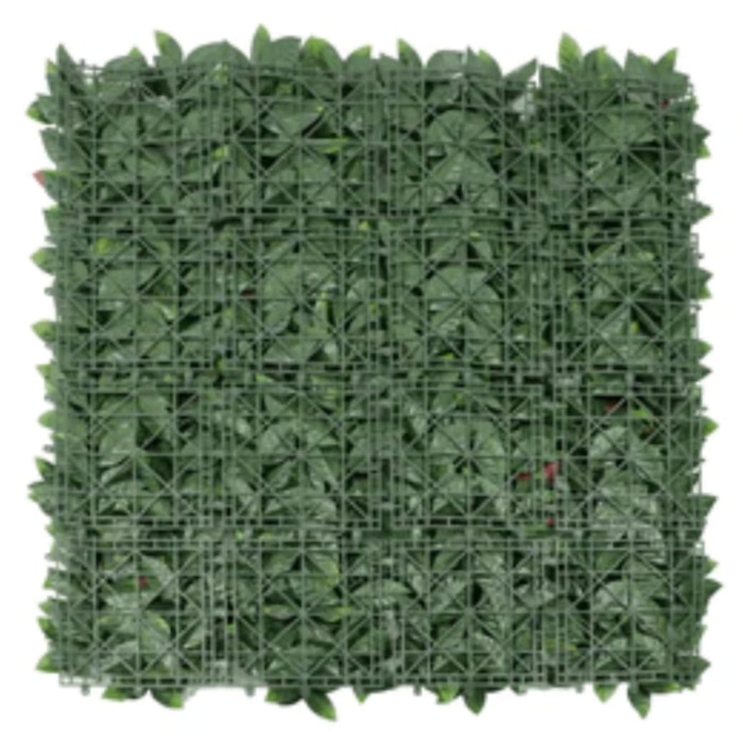 Artificial Photinia Hedge Panel Wall measuring 40 by 40 inches back view